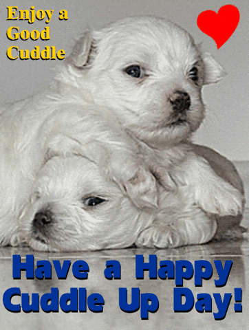 Image result for Cuddle Up Day GIF"