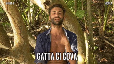 Gatta Ci Cova GIFs - Get the best GIF on GIPHY