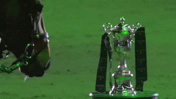 RolexGrandSlam kiss horse trophy rolex GIF