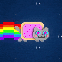 Cat Meme GIF by DOMCAKE