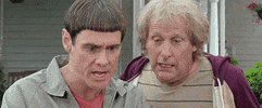 Movie gif. Actors Jim Carrey and Jeff Daniels in Dumb and Dumber both turn to look at something out of frame with confusion.