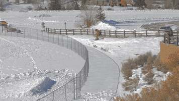 freeskier-magazine  GIF