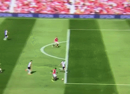 ander herrera