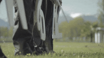 At Work Team GIF by Safran
