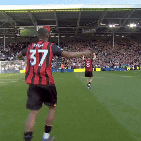 Happy Premier League GIF by AFC Bournemouth