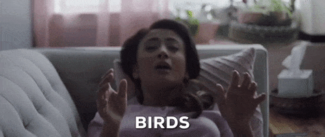 200.gif?cid=fc005b08508b321a9e0ff09b9c38c964917fc64a8d9411fd&rid=200.gif&ct=g