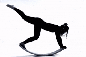 BALANCE FUNCTIONAL BOARD GIF