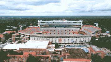 Football Campus GIF by University of Florida