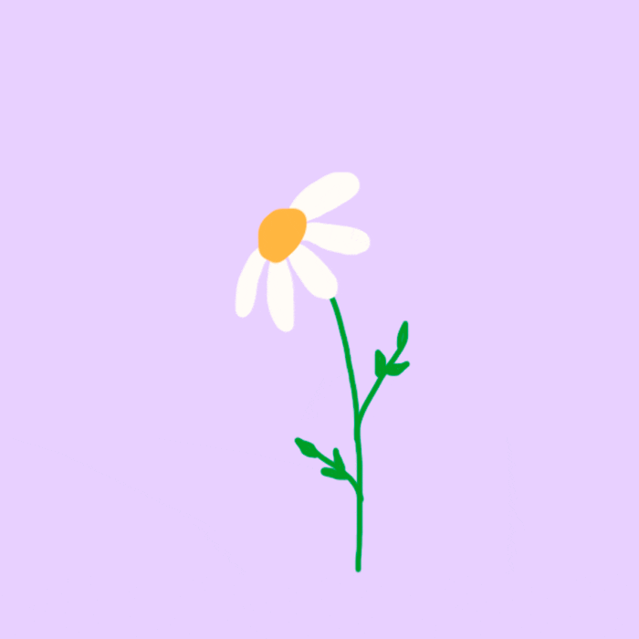 Tam Lorqui Designer GIF