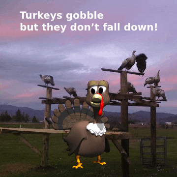 running turkey gif