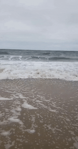 Ocean GIF