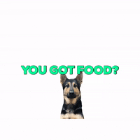 Happy Dog Food GIF by Volhard Dog Nutrition