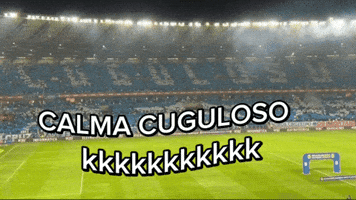 Cruzeiro Esporte Clube GIF