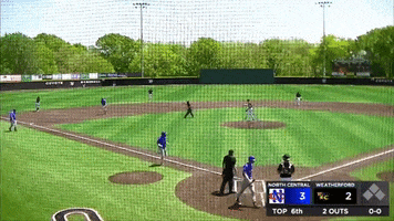 Home Run Fight GIF by Storyful