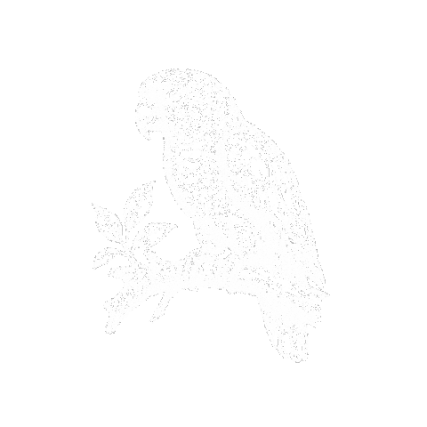 Tamoaqui Sticker by Masiel Mateo