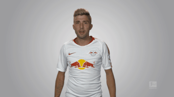 rb leipzig GIF by Bundesliga