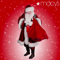 santa claus GIF by Macy's