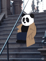 new york panda GIF