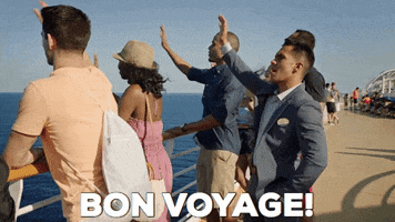 bon voyage goodbye GIF by Hallmark Channel