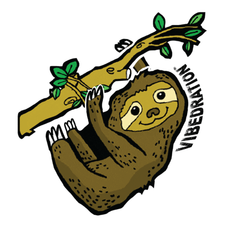 Water Festival Sticker by Vibedration