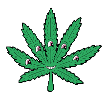 Mor Hqbarcelona Sticker by venyason