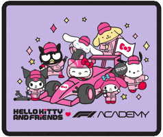 Racing Race GIF by Hello Kitty