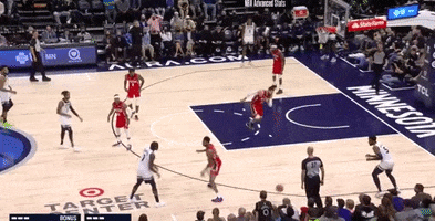 Minnesota Timberwolves GIF