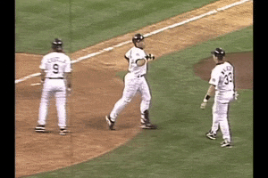 Cat Attack GIF