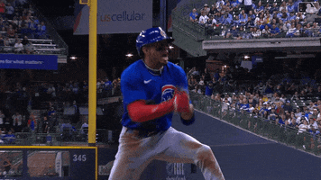 Excited Chicago Cubs GIF by MLB