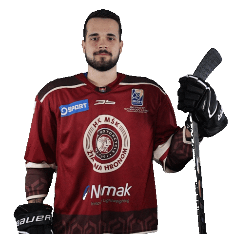 HK MŠK Žiar nad Hronom Sticker