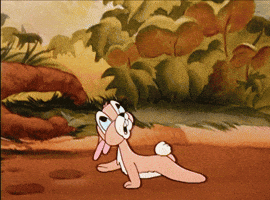 Bunny GIF