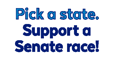DSCC Sticker