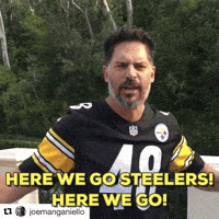 The Terrible Towel GIFs - Get the best GIF on GIPHY
