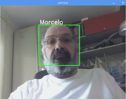 Python Facial Recognition GIF