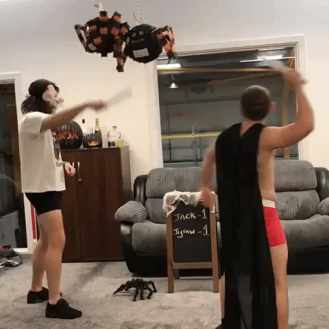 Pinata Spider GIF