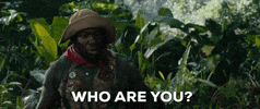 who are you GIF by Jumanji: Welcome to the Jungle