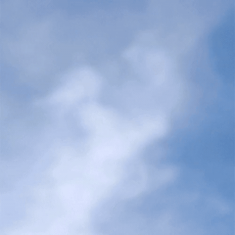 Chickenfries GIF by Burger King Singapore