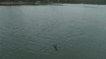 Fun Reeling In GIF by Winkelman