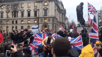 Elvis Impersonator Performs Brexit Song in London's Parliament Square