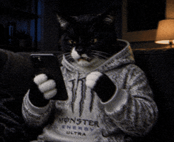 Angry Cat GIF