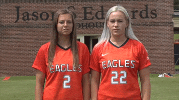 back to back cnws18 GIF by Carson-Newman Athletics