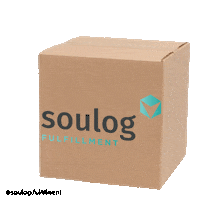 Ecommerce Logistica Sticker by Soulog