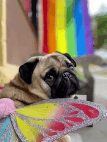 Love GIF
