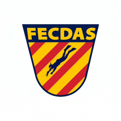 Fecdas_cat solidaritat fecdas somfecdas esportsub GIF