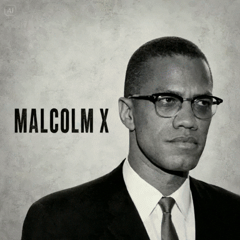Malcolm X GIF