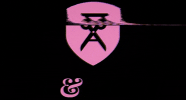 rosaundschwarz GIF