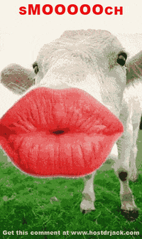 Sloppy Kiss Gifs Get The Best Gif On Giphy Sloppy Kiss Gifs Get The Best Gif On Giphy
