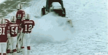 New England Miami GIF