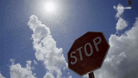 stop sign GIF by DOPESICK NATION