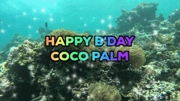 Happy Anniversary Cocopalm GIF by CocoCollection
